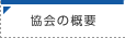 ����̊T�v