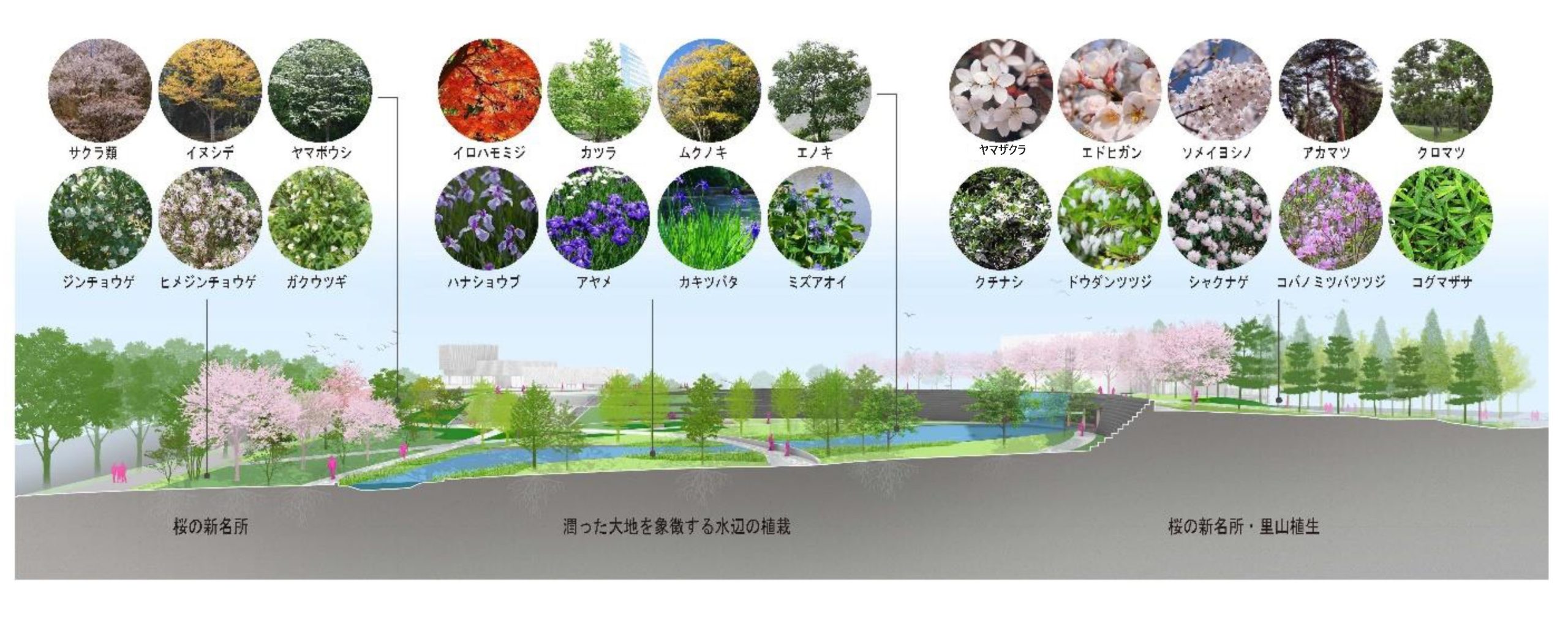 ノースパークの植栽配置計画