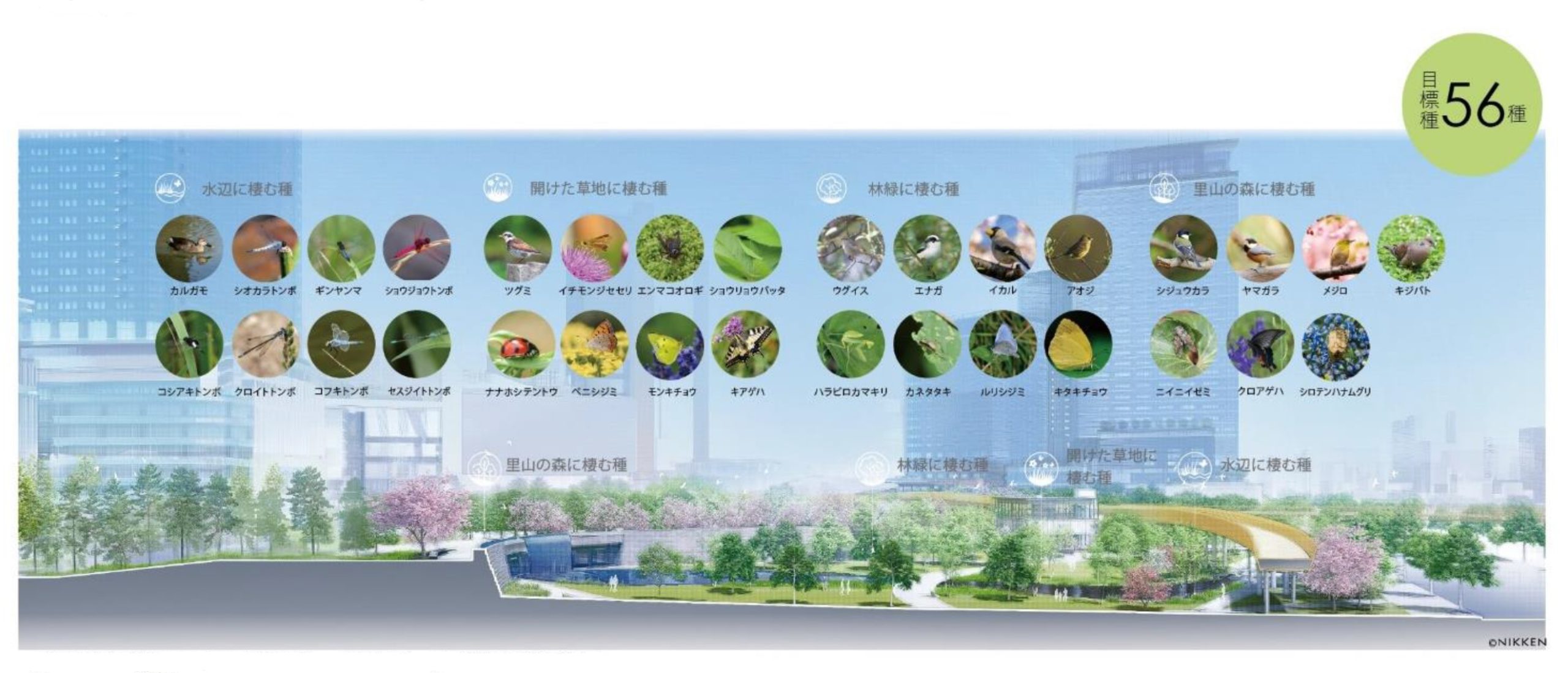 生物多様性に配慮されたうめきた公園に期待される目標種